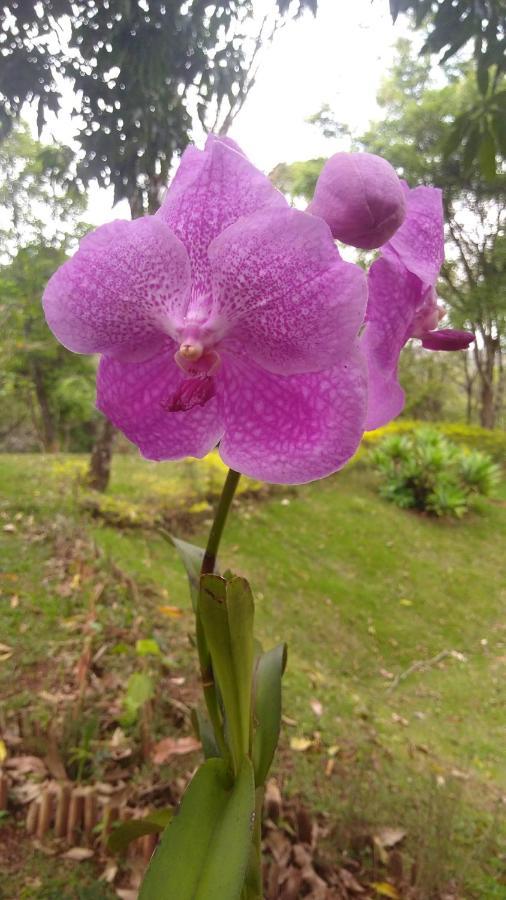 Govinda Moeda Pousada Buitenkant foto